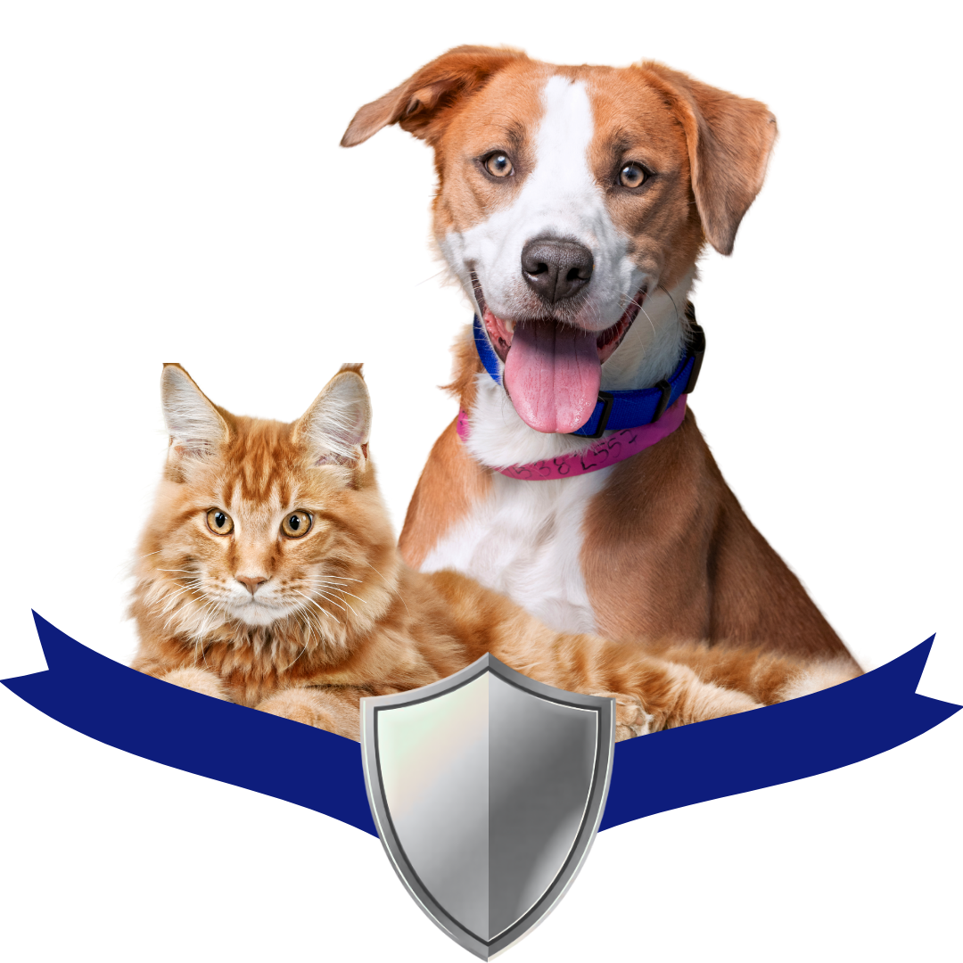 Perro feliz mirando a cámara